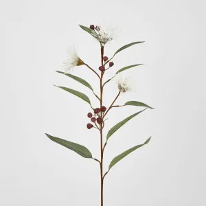 Flowering Eucalyptus White by JMC FLORALS, a Plants for sale on Style Sourcebook