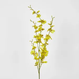 Yellow Dancing Orchid by JMC FLORALS, a Plants for sale on Style Sourcebook