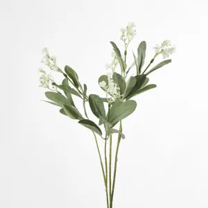 Wild Baby's Breath Bush by JMC FLORALS, a Plants for sale on Style Sourcebook