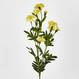 Marigold Spray Yellow by JMC FLORALS, a Plants for sale on Style Sourcebook