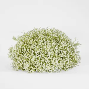 Baby's Breath Floral Ball by JMC FLORALS, a Plants for sale on Style Sourcebook