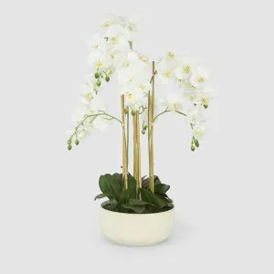 Orchid Potted Real Touch 100cm White by Florabelle Living, a Plants for sale on Style Sourcebook