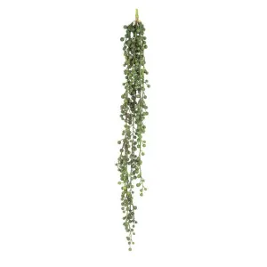 Pearl Hanging 65cm by Florabelle Living, a Plants for sale on Style Sourcebook
