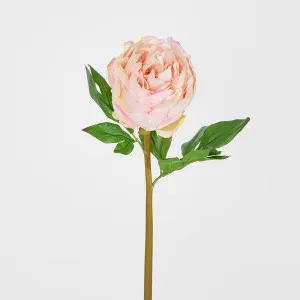 Peony Flower Real Touch Stem Pink Large by Florabelle Living, a Plants for sale on Style Sourcebook