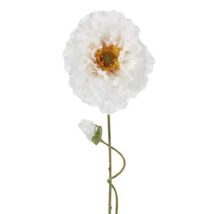 Poppy Stem 75cm White by Florabelle Living, a Plants for sale on Style Sourcebook
