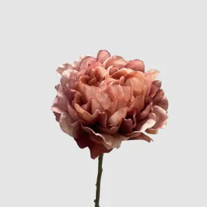 Peony Dark Pink 64cm by Florabelle Living, a Plants for sale on Style Sourcebook