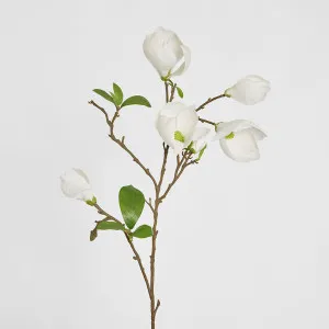 Magnolia Bud Spray 90cm White by Florabelle Living, a Plants for sale on Style Sourcebook