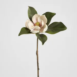 Magnolia Short Stem 60cm Light Pink by Florabelle Living, a Plants for sale on Style Sourcebook