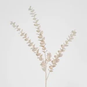 Eucalypus Spray Light Pink by JMC FLORALS, a Plants for sale on Style Sourcebook