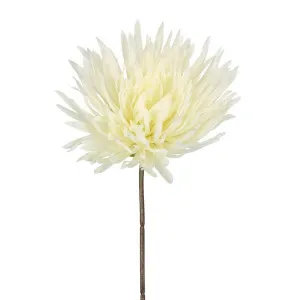 Mum Stem 71cm Cream by Florabelle Living, a Plants for sale on Style Sourcebook