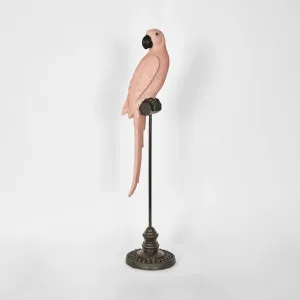 Amabela Parrot Medium Pink by Florabelle Living, a Statues & Ornaments for sale on Style Sourcebook