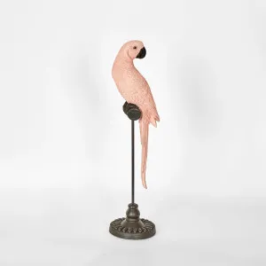 Amabela Parrot Small Pink by Florabelle Living, a Statues & Ornaments for sale on Style Sourcebook