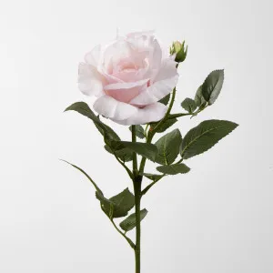 Colin Rose 64cm Pink by JMC FLORALS, a Plants for sale on Style Sourcebook