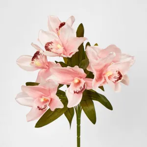Cymbidium Bush Peach Pink by JMC FLORALS, a Plants for sale on Style Sourcebook