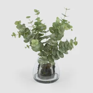 Eucalyptus Leaf Spray in Vase 59cm by Florabelle Living, a Plants for sale on Style Sourcebook