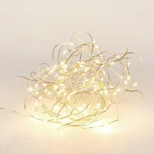 10M Fairy Lights 100 Lights Plug In by Vixen & Velvet, a Christmas for sale on Style Sourcebook