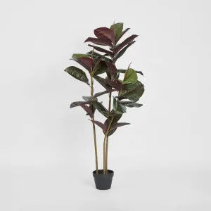 Rubber Tree Real Touch 1.45m by TREE CREATIONS, a Plants for sale on Style Sourcebook