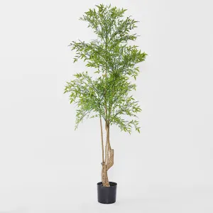 Nandina Tree 180 CM by TREE CREATIONS, a Plants for sale on Style Sourcebook