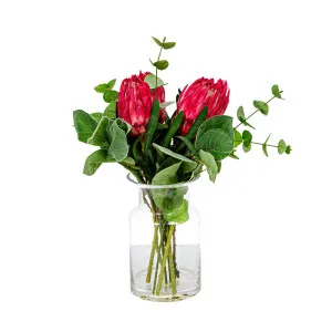 Red  Protea in Toby Vase Sml by Florabelle Living, a Plants for sale on Style Sourcebook