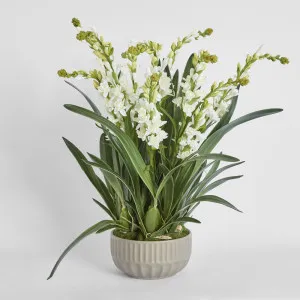 Ferne Arrangement Taupe by Florabelle Living, a Plants for sale on Style Sourcebook