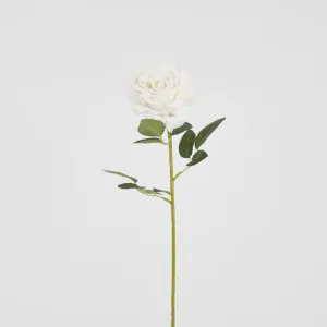 Garden Rose Stem White by JMC FLORALS, a Plants for sale on Style Sourcebook