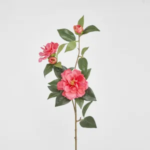 Camellia Spray 86cm Beauty by JMC FLORALS, a Plants for sale on Style Sourcebook