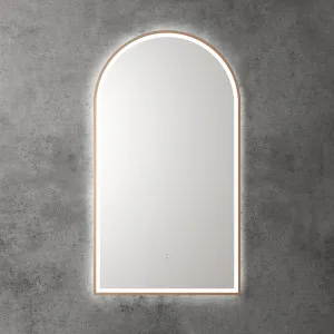 Canterbury - Brushed Bronze by Aulic, a Illuminated Mirrors for sale on Style Sourcebook