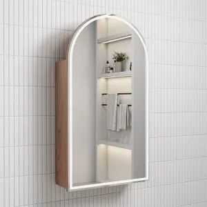 Canterbury LED Shaving Cabinet - Mia, Frameless by Aulic, a Shaving Cabinets for sale on Style Sourcebook
