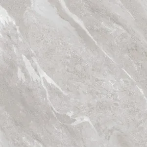Pietra Ravine Silver Dollar (Matt) 600x600 by Sanctuary Makers, a Stone Look Tiles for sale on Style Sourcebook