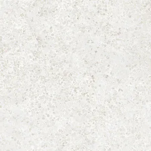 Terra Piccolo Seashore (Matt) 300x600 by Sanctuary Makers, a Terrazzo Look Tiles for sale on Style Sourcebook