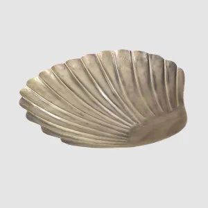 Bree Shell Ornaments by Florabelle Living, a Statues & Ornaments for sale on Style Sourcebook