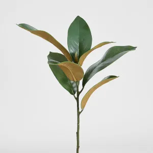 Magnolia Real Touch Leaf Spray 56cm by Florabelle Living, a Plants for sale on Style Sourcebook