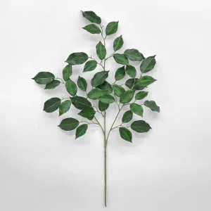 Ficus Leaf Spray Flame Retardant UV Coated by Florabelle Living, a Plants for sale on Style Sourcebook