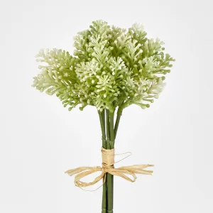 Pine Berry by JMC FLORALS, a Plants for sale on Style Sourcebook