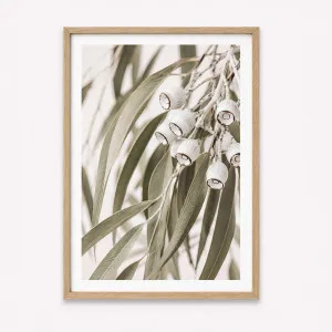 Silver Princess by Boho Art and Styling, a Prints for sale on Style Sourcebook