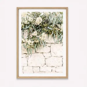 Falling Natives by Boho Art and Styling, a Prints for sale on Style Sourcebook