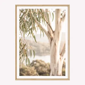 Awaken by Boho Art and Styling, a Prints for sale on Style Sourcebook