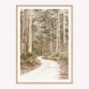 Bushland Path II by Boho Art and Styling, a Prints for sale on Style Sourcebook