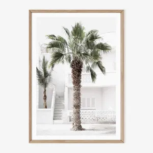 Cape Palm 2026 by Boho Art and Styling, a Prints for sale on Style Sourcebook