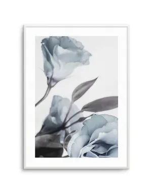 Blue Lisianthus I by oliveetoriel.com, a Original Artwork for sale on Style Sourcebook