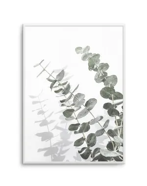 Eucalyptus IV by oliveetoriel.com, a Original Artwork for sale on Style Sourcebook