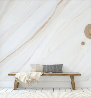 Layers Of Earth Wallpaper by oliveetoriel.com, a Wallpaper for sale on Style Sourcebook