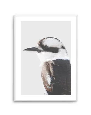 Kookaburra I by oliveetoriel.com, a Prints for sale on Style Sourcebook