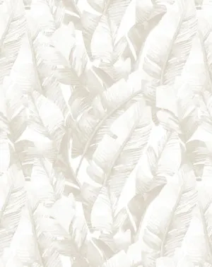Banana Leaf Palms | Sepia Wallpaper by oliveetoriel.com, a Wallpaper for sale on Style Sourcebook