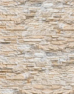 Palm Springs Sandstone Wall Wallpaper by oliveetoriel.com, a Wallpaper for sale on Style Sourcebook