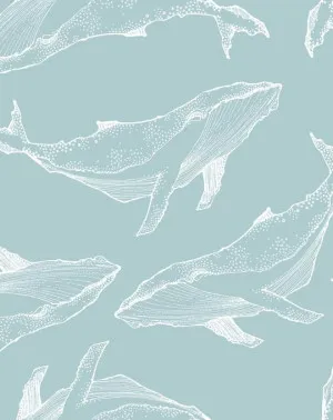 Whale Illustration | Seafoam Wallpaper by oliveetoriel.com, a Wallpaper for sale on Style Sourcebook