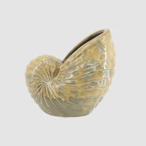 Nautilus Ceramic Planter Small by Florabelle Living, a Statues & Ornaments for sale on Style Sourcebook