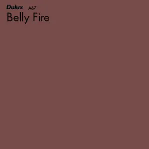Belly Fire by Dulux, a Reds for sale on Style Sourcebook