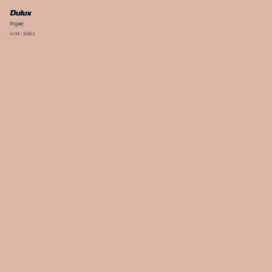 Piglet by Dulux, a Reds for sale on Style Sourcebook