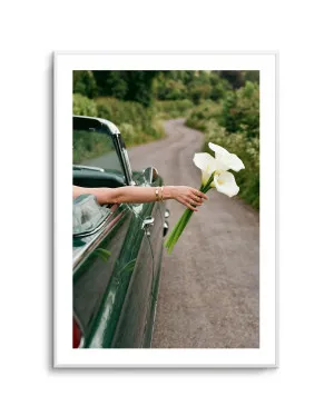 Eldorado Green II by oliveetoriel.com, a Prints for sale on Style Sourcebook
